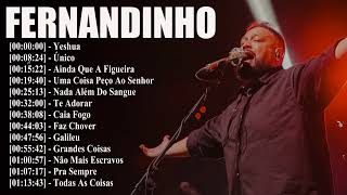 FERNANDINHO 2025 || Caminho No Deserto , Teus Sonhos,.. As melhores músicas gospel de 2025