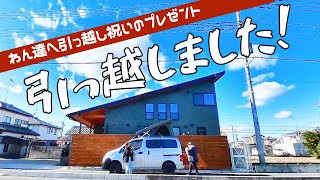 新居へ引っ越しました！ わんたちへ引越し祝いのプレゼント！｜INUVAN LIFESTYLE