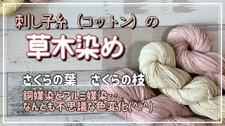 54.【草木染め】刺し子糸│綿│桜の葉　桜の枝│銅媒染とアルミ媒染‥なんとも不思議な色変化│台所染色│字幕あり