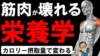 【筋トレ科学】筋肉が壊れてしまう間違った栄養学　カロリー摂取編　~筋肉をデカくするカロリー摂取量～