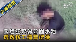 闖燈狂奔躲公園水池 逃逸移工遭警逮獲｜TVBS新聞 @TVBSNEWS02