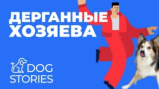 Дерганные хозяева — дерганые собаки  🐕 Как воспитывать гиперактивного щенка 🐩 Перевозбуждение 🐾