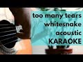 Too Many Tears - Acoustic Karaoke - Whitesnake