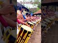 amazing panchari melam kerala