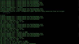 Java04: Working with primitive data types in Java