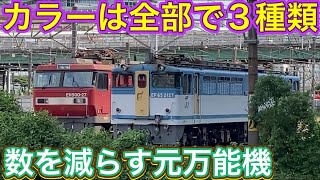 JR貨物に属さない国鉄型電気機関車が高速で素通り！？貨物列車の発着が多すぎる巨大な信号場