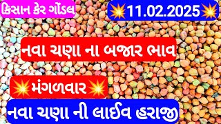 નવા ચણાના બજાર ભાવ / ચણાના બજાર ભાવ /ગોંડલ ચણાના બજાર ભાવ /ગોંડલ માર્કેટિંગ યાર્ડ ના ભાવ 11-02-2025