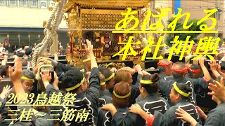 あばれる　本社神輿　2023鳥越祭　三桂～三筋南