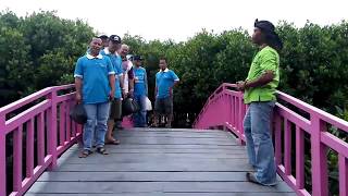 Indahnya Wisata Hutan Mangrove di Brebes