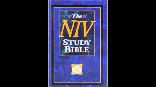 The Gospel of John (NIV Audio Bible Non Dramatized)