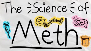 The Effect of Methamphetamine (Meth) on the Brain