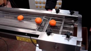 Boyd Food Machinery - Koppens Shuttle Conveyor_2