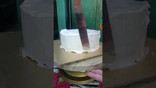 পর্ব-৩..একসাথে ৩ টে কেক এর অর্ডার এই প্রথমবার..#cake #suhana #woc #shorts #trending #youtubeshorts