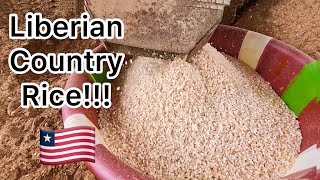 African Village Routine || Local Rice Production In Liberia GBOAWUTA  West Africa