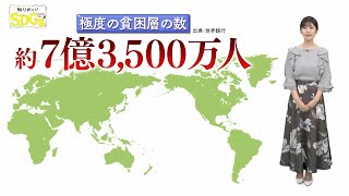 知りたい！SDGs #109 |2021年10月28日放送