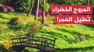 ما العلاقة بين المساحات الخضراء وعمر الإنسان؟