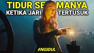 KEBENCIANNYA DENGAN MANUSIA, MEMBUAT HATINYA DISELIMUTI DENDAM | #NGIDUL FILM MALEFICENT (2014)