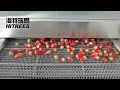 vegetable and fruits french fries iqf quick freezing machine