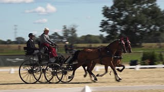 Baborówko pierwszy raz gości zawody w powożeniu. Pod Poznaniem pojawiło się wiele sław dyscypliny