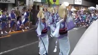 2015 小岩阿波踊り７ 湘南なぎさ連１