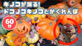 キノコが踊る!ハロウィンで隠れんぼ！その他60分メドレー！【いないいないばあ・おかあさんといっしょ・子供の歌・赤ちゃん喜ぶ】