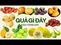 Quả Gì Đây 8, Dạy Bé Đọc Tên Quả, Có Hình Ảnh Thực Tế | Song Ngữ Anh Việt | Fruit farm, Agricultural