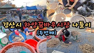 전통시장ㅣ경산시 하양꿈바우시장 나들이 [56]