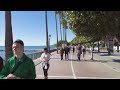 walking tour of marbella puerto deportivo and promenade in january 2023