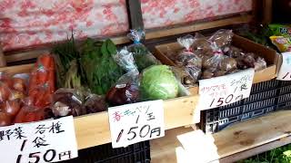 無人野菜販売所に野菜スナックが置いてあった！