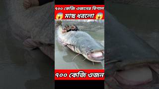 ছেলেটা বড়শি দিয়ে বিশাল বড় মাছ ধরলো।😱#shortvideo #youtubeshorts #viralvideo #facts #viralshort