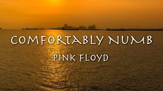 COMFORTABLY NUMB - Pink Floyd (1979) ピンク・フロイド「コンフォタブリー・ナム/ザ・ドクター」和訳