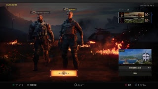 [BO４]はじめてのバトロワ。。。わちゃわちゃまったりやりましょ！！！