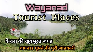 WAYANAD Kerala Ki Khubsurat Jagah || Wayanad Tourist Places || Kerala Tourist Places || Kerala Tour