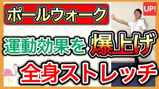 【効果倍増】ポールウォーキングと合わせて行うと運動効果がさらに高められる全身ストレッチ