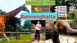 Bannerghatta National Park, Bengaluru | One Day trip near Bengaluru | Zoo