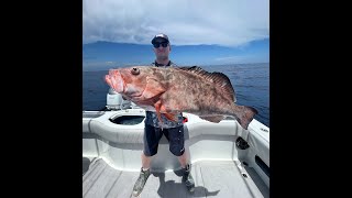 Fishing with GULF COAST OFFSHORE out of Sarasota FL