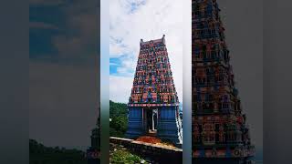 திருத்தணி முருகன் #murugansongs #viralvideo #murugan #temple