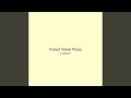 Forest Velvet Pulse