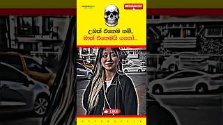 උඹත් එහෙම නම් මාත් එහෙමයි යකෝ ☠️⚠️⚠️ Motivational Video ~ #motivation #shorts #viral