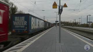 Train For Breakfast #022 - BR193 ELL with Freight Train in Grafing Bahnhof