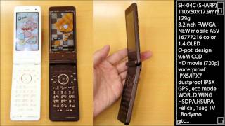 Japanese Cell Phone NTT Docomo 2011 winter-spring model