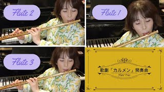 ひとりでフルート3重奏やってみた！/歌劇「カルメン」より間奏曲