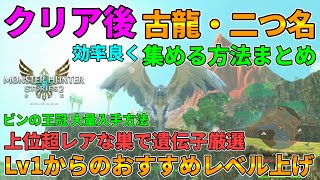 【MHS2】クリア後効率良く古龍・二つ名を入手する方法！Lv1からのおすすめレベル上げ・上位超レアな巣で遺伝子厳選etc. エンドコンテンツ攻略！【モンスターハンターストーリーズ2：破滅の翼】