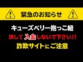 ■キューズベリー抱っこ紐　詐欺サイトに注意！