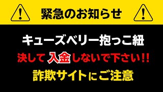 ■キューズベリー抱っこ紐　詐欺サイトに注意！