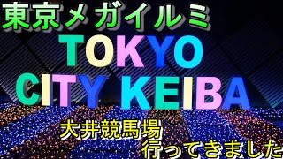 【メガイルミ】大井競馬場の冬季イルミネーションイベントを見てきました