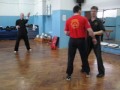 wing chun srbija savezni instruktorski seminar u pozarevcu 2013