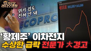 [슬라생] ‘황제주’ 이차전지의 수상한 급락? 배터리 전문가 경고 \