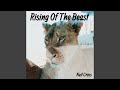 Rising of the Beast