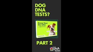 Dog DNA Test: Part 2